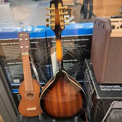 Epiphone - MM-30ASGH 2